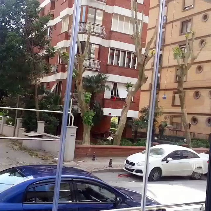 Motorlu Screen Perde