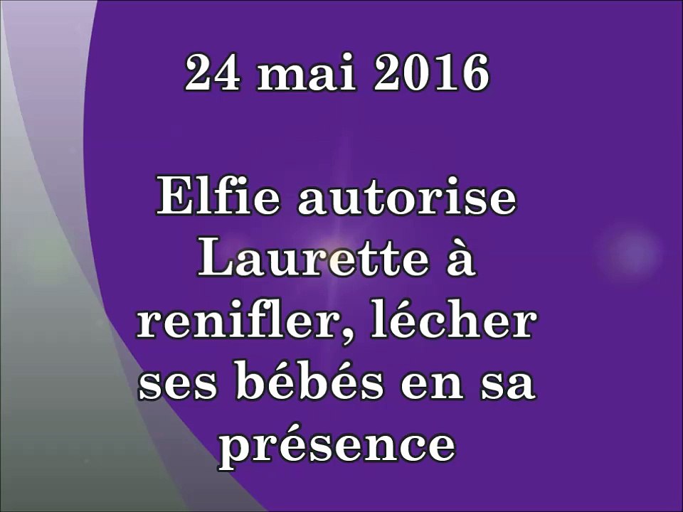 Les bébés, Elfie et Laurette