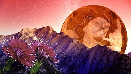 Black Lodge Collective - Lights Out