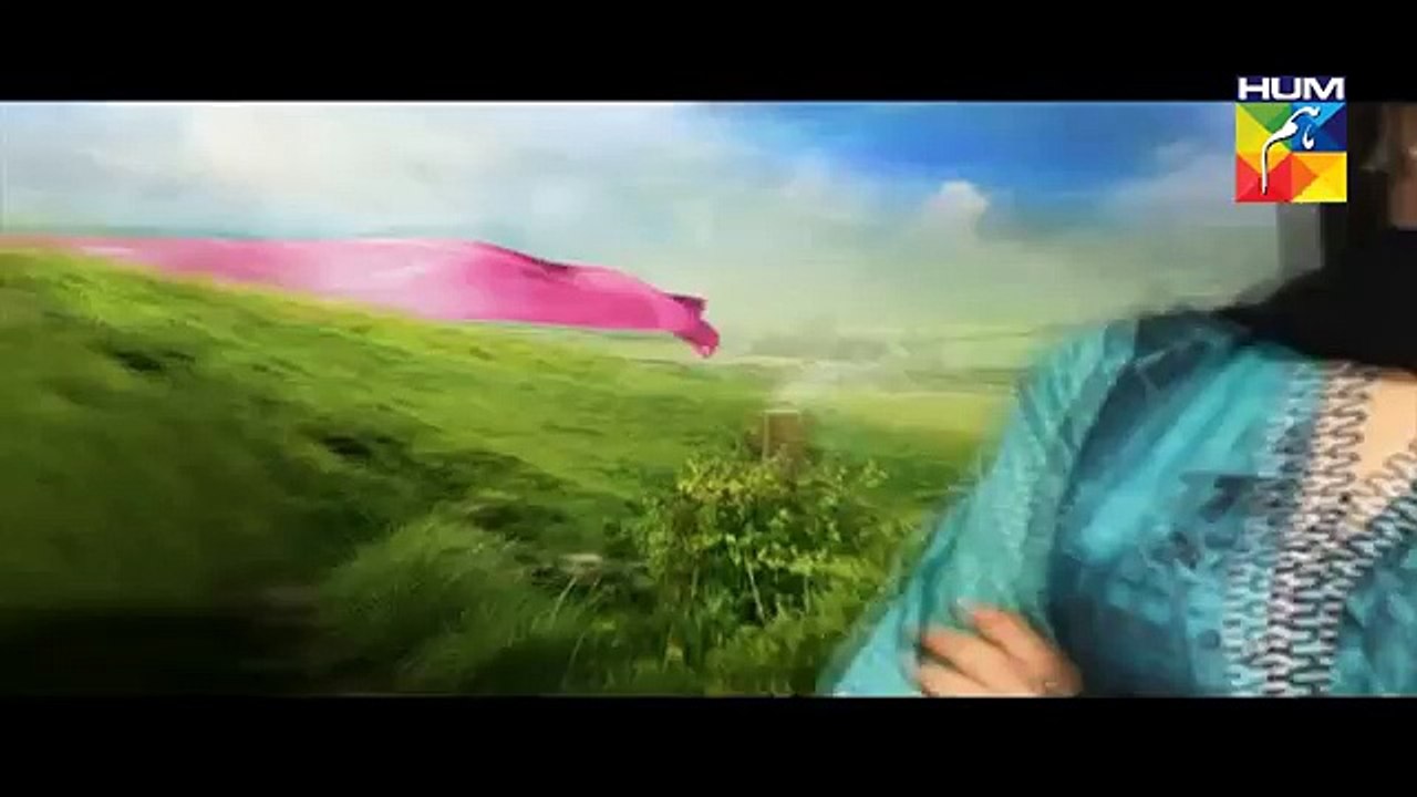 Haya Ke Daman Mein Episode 39 Full Hum TV Drama 24 May 2016