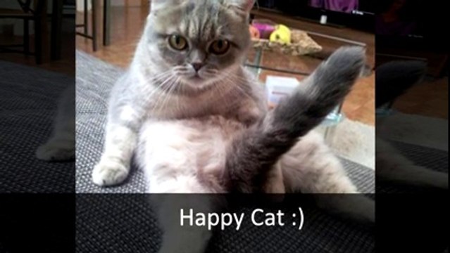 25 Perfectly Timed Photos