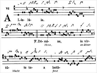 Alleluia Domine in virtute, Dominica XI TpA (11è dimanche TO)