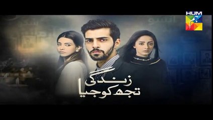Zindagi Tujh Ko Jiya Episode 54 Full in HD - HUM TV - 24th May 2016