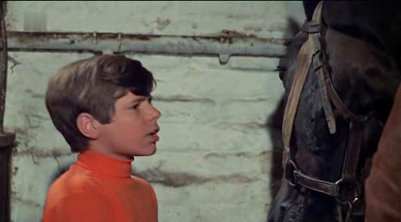 Heintje - Mamatschi, schenk' mir ein Pferdchen 1969