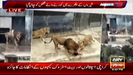 Youth jumps into lions cage for suicide, than what happened ?watch