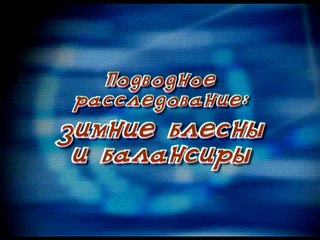 Подводное расследование. Зимние блёсны и балансиры. Часть 1