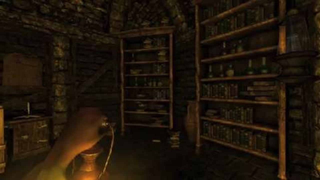 Amnesia: The Dark Descent