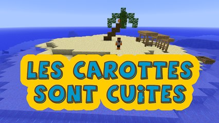 LES CAROTTES SONT CUITES