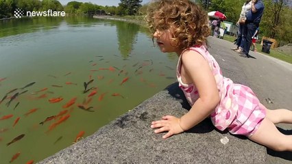 Man uses drone to catch a goldfish with no hook