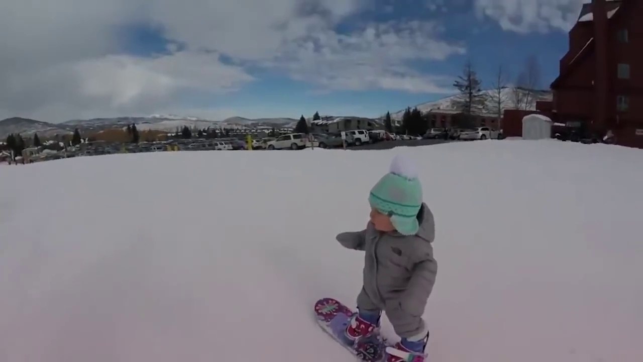 HOLY COW  ! - TOP VIRAL VIDEOS