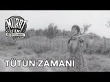 Tütün Zamanı - Yılmaz Güney