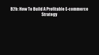 Download B2b: How To Build A Profitable E-commerce Strategy Ebook Online