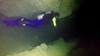 Stuart Cove’s TV: Andros