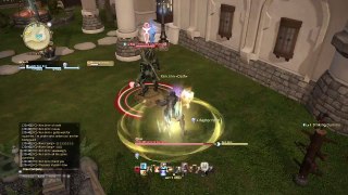 Dom Plays FFXIV Monk Puncher (71)