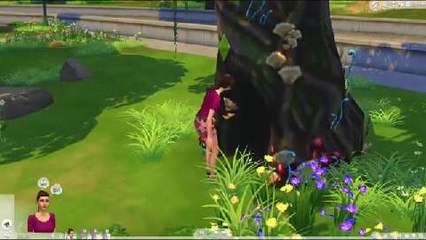 Truco Los Sims 4 cómo desbloquear el solar secreto de Willow Creek