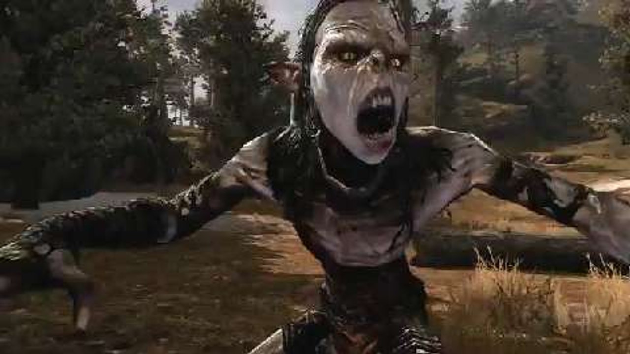 Władca Pierścieni: Wojna na Północy