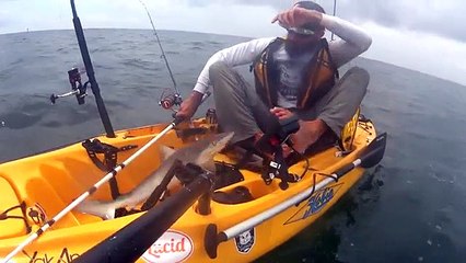 Mira el susto que le dio este tiburón blanco a un pescador