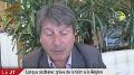 Le journal de la mi journée - vendredi 29 mai