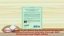 Download  12 Smart Things to Do When the Booze and Drugs Are Gone Choosing Emotional Sobriety PDF Online