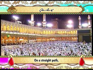 Surah Ya Sin - Beautiful Recitation and Visualization of The Holy Quran