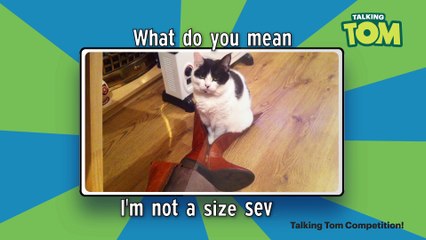 Talking Tom Cat Caption Competition Winners Video!