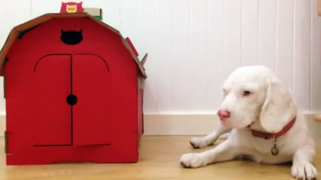 "Oh hai daddy! I missed you so much"