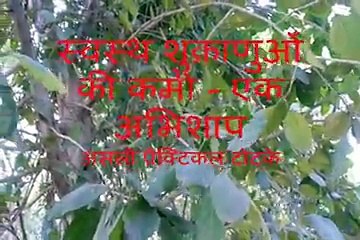 स्वस्थ शुक्राणुओं की कमी करे भरपूर और दूर करे नामर्दी ये नुस्खा Swasth Shukranuon ki kami door karen