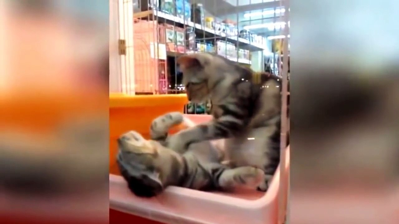 We Love Russia 2015 - Russian Fail Compilation. #13 Funniest Russian moments