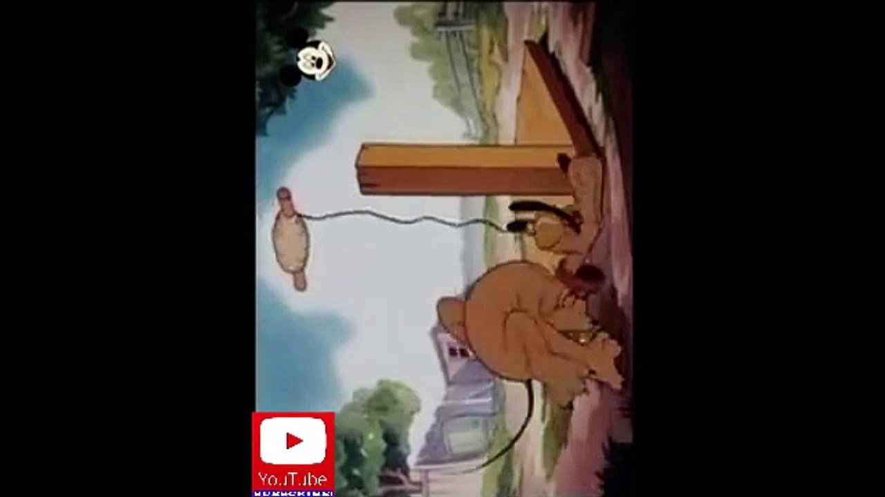 Miki Maus Plutonova - Kucica iz snova