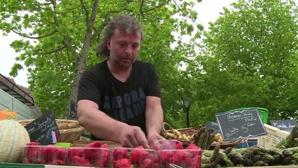 La discrète retraite de Pete Doherty dans un village français