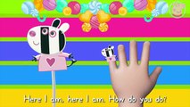 Lollipop Peppa Pig Zoe Zebra Finger Family   Nursery Rhymes Lyrics and More by Pig Tv