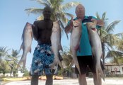 Pêcher au Sénégal Séjour pêche