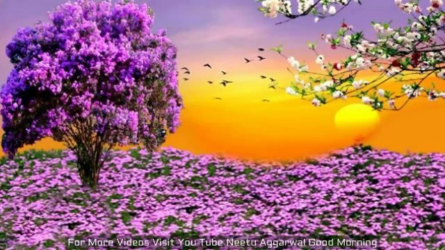 Good Morning Greetings,Wishes,Quotes,Sms,Saying,E-Card,Wallpapers,Good Morning Whatsapp Video