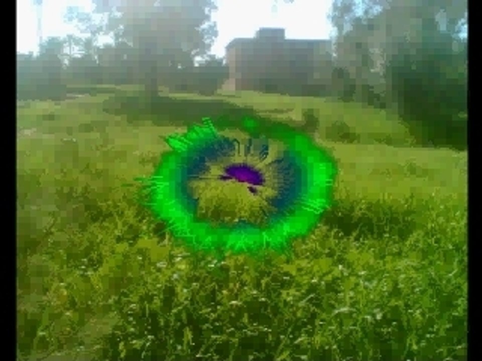 taoufik petit bard tinghir