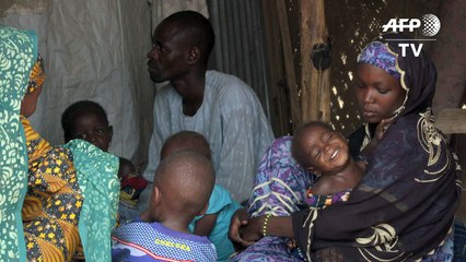 下载视频: UNHCR helps Nigeria refugees who fled Boko Haram find safe haven