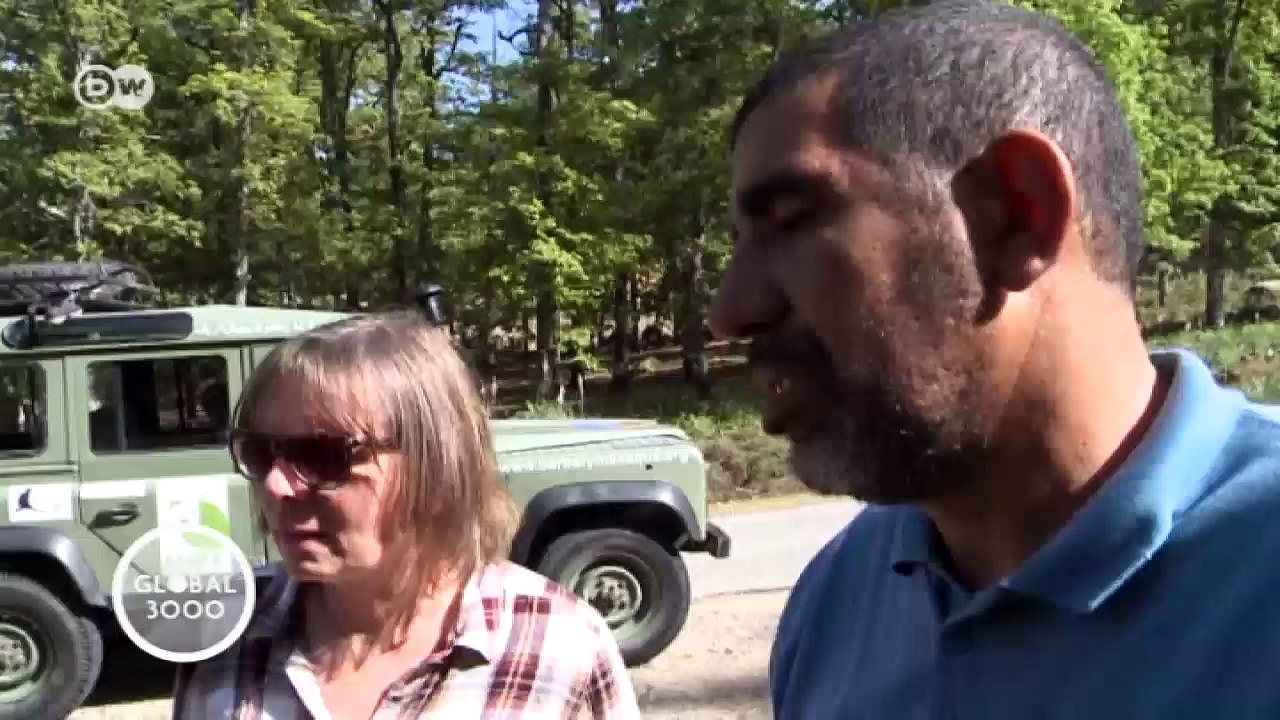 Marokko: Berberaffen in Gefahr | Global 3000