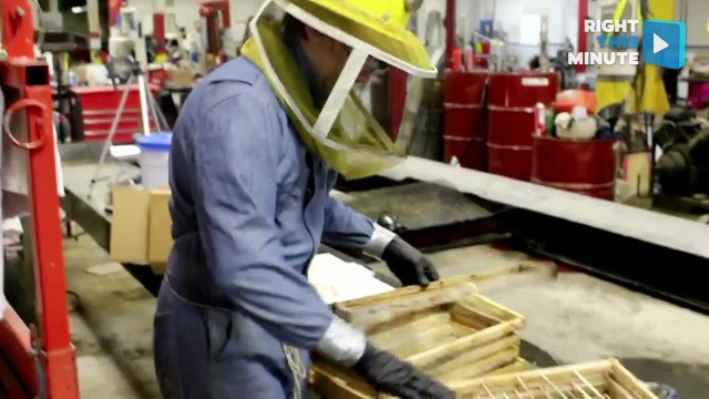 Amateur Beekeeper Stung About 100 Times While Saving Bees