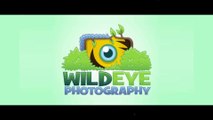 40 Creative Photography Logo Design examples and Ideas for you