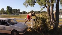 Cet homme s'amuse à sauter dans un cactus..
