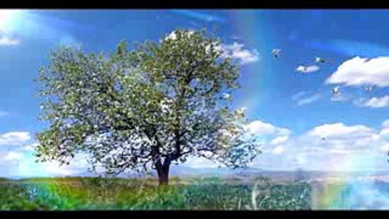 subha hidayat 10 05 16 PART 01