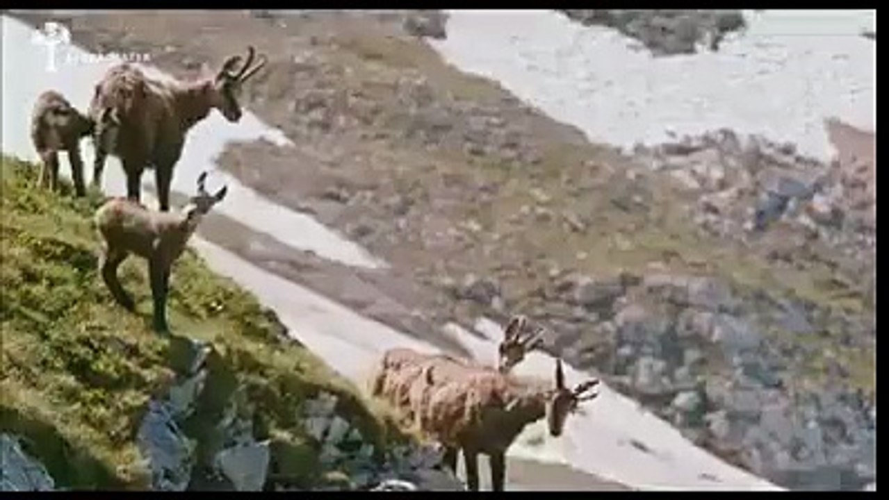 Natural planet