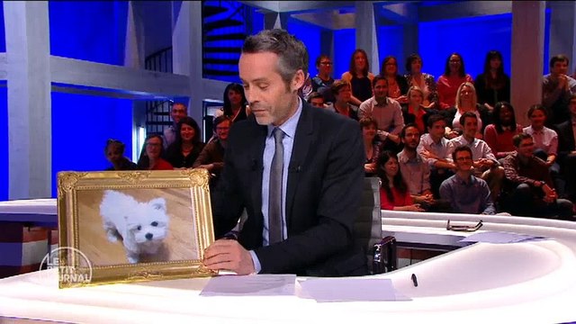 Morandini Zap: Elle perd patience face à la caméra, et son chien en fait les frais