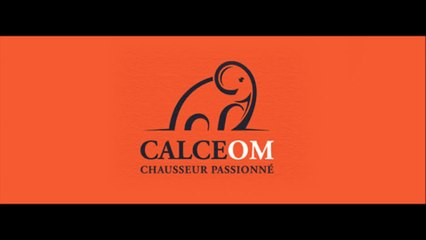 Animal Logo Design examples for Inspiration