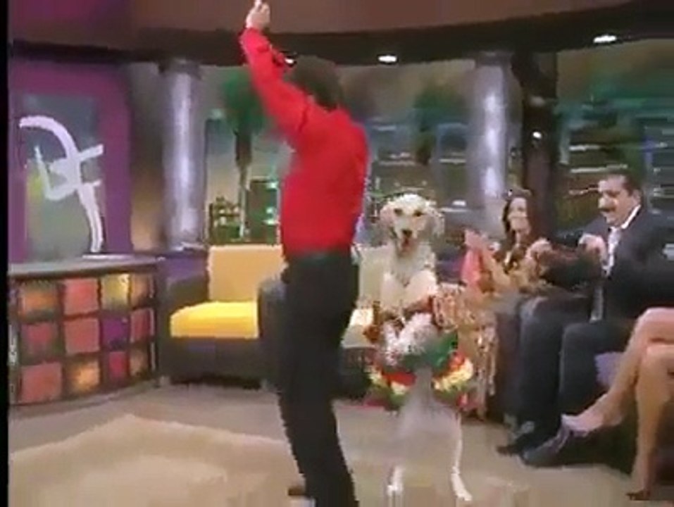 Dog_s_Got_Talent