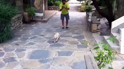 Hanno solo 10 mesi in due ma già si amano...