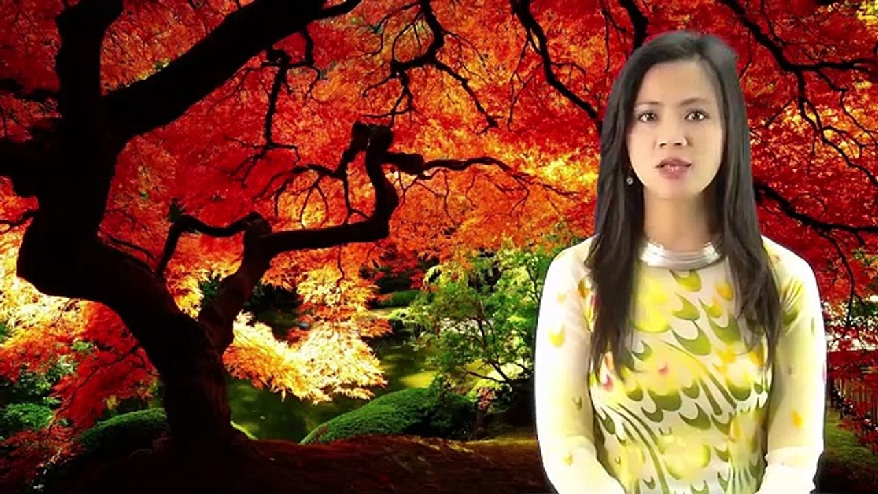 Suy niệm với ĐTC Phanxicô - 29.10_04.11.2015 - Cầu nguyện cho những người đã qua đời