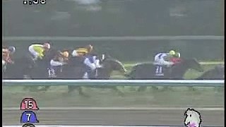 (2007.12.23)　【競馬】有馬記念、マツリダゴッホが大波乱優勝