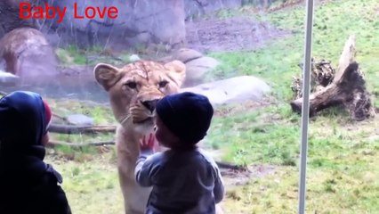 Animals Try To Attack Kids at the zoo - Funny Animals Videos