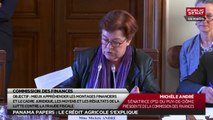Auditions Crédit agricole et BNP Paribas - Les matins du Sénat (25/05/2016)