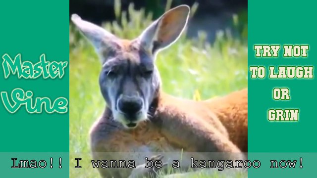 TRY NOT TO LAUGH OR GRIN CHALLENGE! IMPOSSIBLE CHALLENGE ✔ ( HARDEST VERSION 2016 )